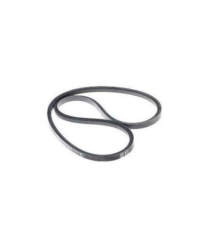 Immagine di 276148 CINGHIA