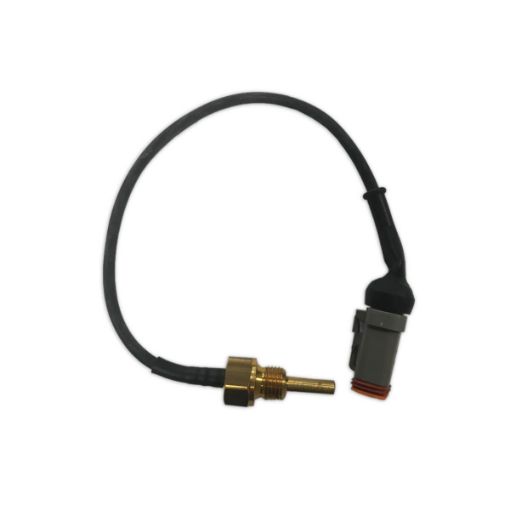 Immagine di 51.27421-0306 Captatore temperatura