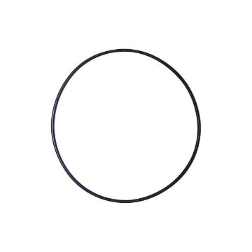 Immagine di R133651 O-RING
