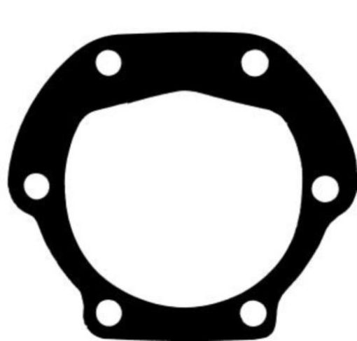 Immagine di 2521 GUARNIZIONE PER POMPA