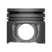 Immagine di 3695326 CORPO PISTONE BODY AS-PIST