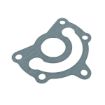Immagine di 51.05901-0098 Guarnizione