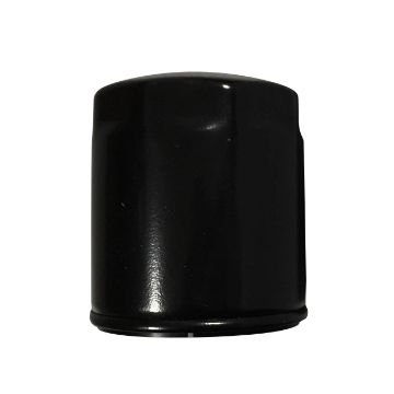 Picture of F41150029 CARTUCCIA - FILTER