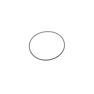 Immagine di 1197845 TENUTA SEAL-O-RING