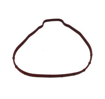 Immagine di 3841013 GUARNIZIONE