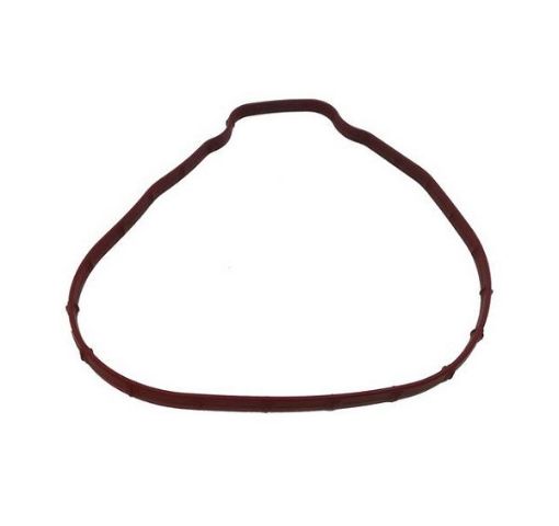 Immagine di 3841013 GUARNIZIONE