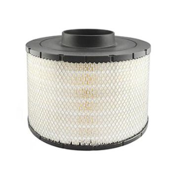 Immagine di B125011 AIR FILTER, PRIMARY DURALITE
