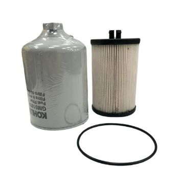 Immagine di GM50263 KIT FILTRO GAS. 100/125EFOZDJ