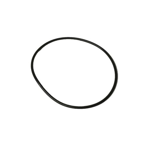 Immagine di 24311-000120A O RING 2/3GM20/30