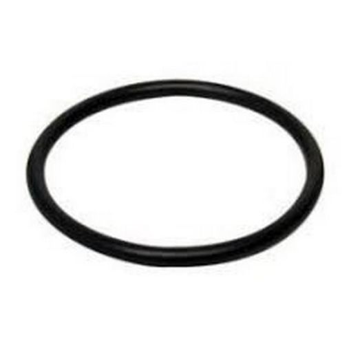 Immagine di 30224 O RING @5