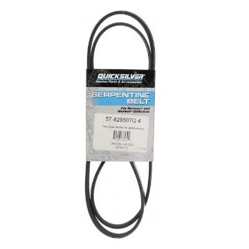 Immagine di 828507Q4 BELT-SERPENTINE