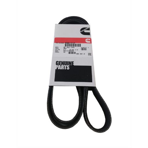 Immagine di 4981117 BELT,V RIBBED