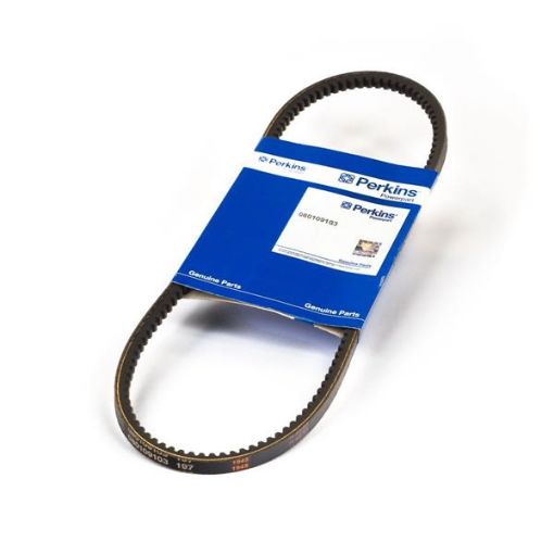 Immagine di 080109103 V BELT
