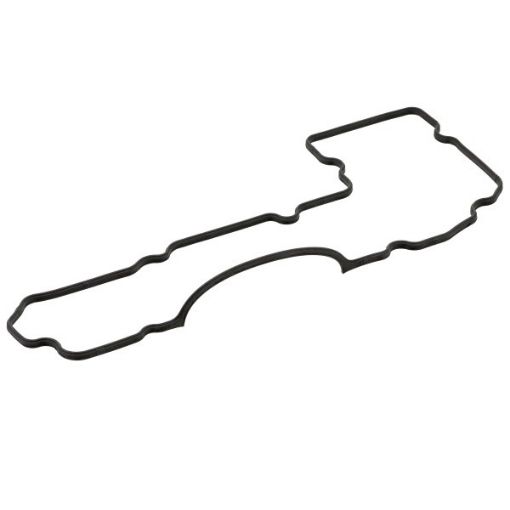 Immagine di 51.01903-0166 Guarniz. scatola distribuzione