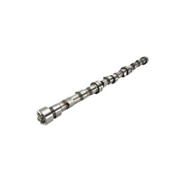 Immagine di 20100228002 CAMSHAFT