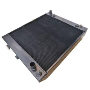 Immagine di 2386658 RADIATORE RADIATOR GP.