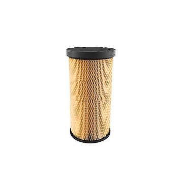 Immagine di 1318821A En. Air Filter