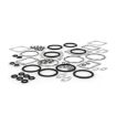 Immagine di 2823657 KIT INGRANAGGIO