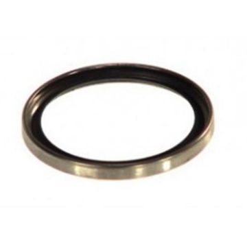 Immagine di 51.06904-0038A GUARNIZIONE TERMOSTATO =51.06904-0034