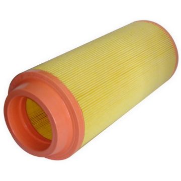 Immagine di C15300 Filtro aria