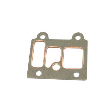 Immagine di 859145A GUARNIZIONE COLLETTORE