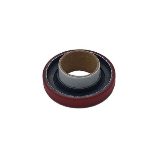 Immagine di 25269 SEAL LIP