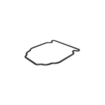 Immagine di 2965820 TENUTA SEAL-PIP