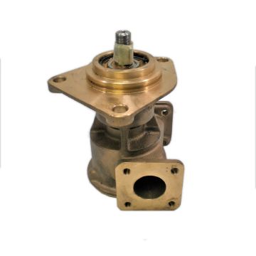 Immagine di 3829310 POMPA ACQUA MARINA