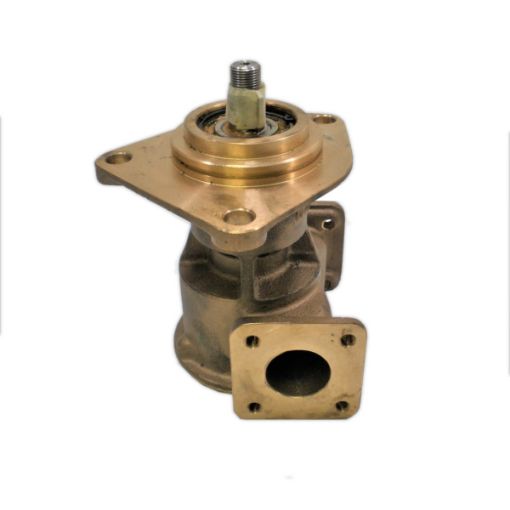 Immagine di 3829310 POMPA ACQUA MARINA