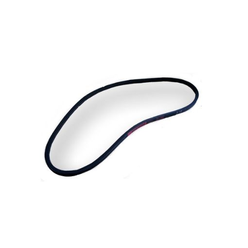 Immagine di 229880 CINGHIA ALTERNATORE