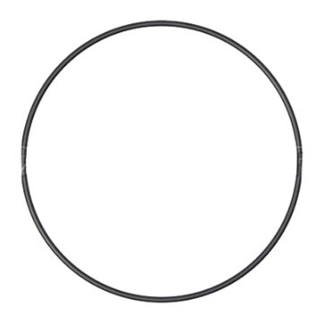 Immagine di 1173036A Anello OR EPDM (70) 120,32x2,62