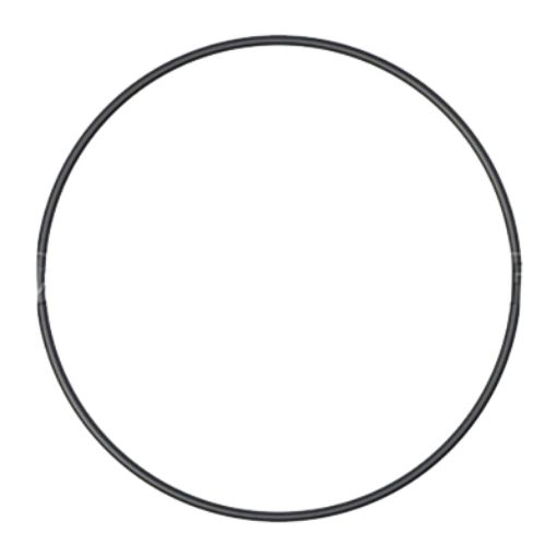 Immagine di 1173036A Anello OR EPDM (70) 120,32x2,62