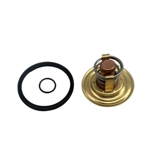 Immagine di 875796A TERMOSTATO