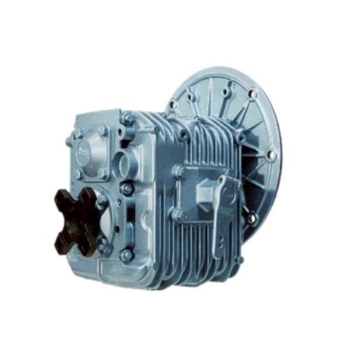 Immagine di 3307002001 ZF25M Rr 1,88:1 - INVERTITORE