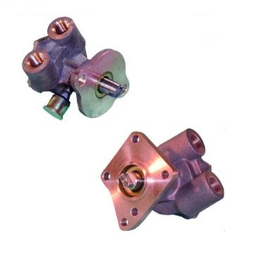 Immagine di 0132-0277 PUMP-RAW WATER