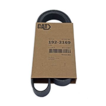 Immagine di 1922169 CINGHIA BELT