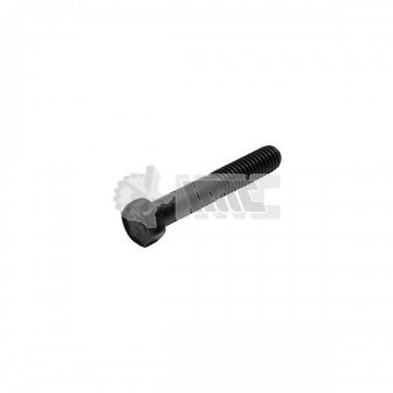 Immagine di 6N8942A BOLT CON R