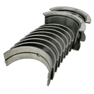 Immagine di 818473001 BEARING SET-STD