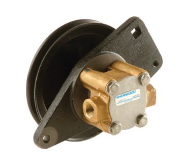 Immagine di G8002 PUMP ASSY