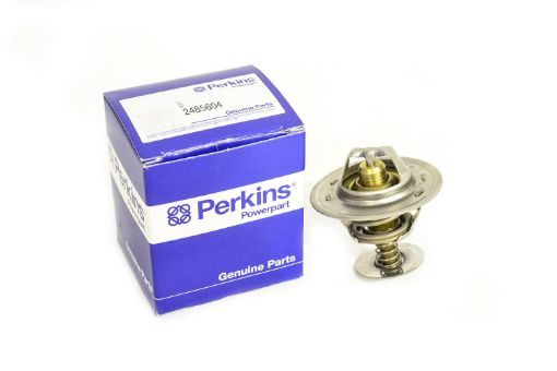 Immagine di 2485604 THERMOSTAT