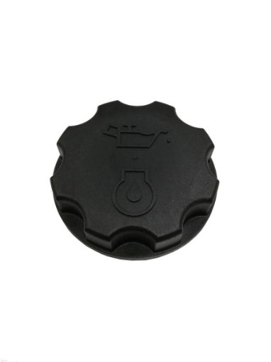 Immagine di 1363608 TAPPO CAP AS