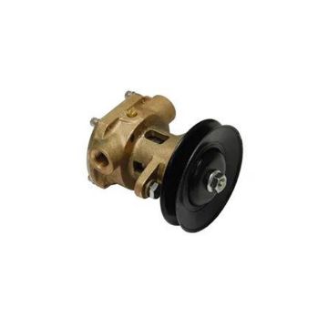 Immagine di G907P PUMP ASSY