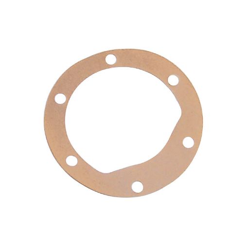 Immagine di 5672 GUARNIZIONE POMPE F5/F6