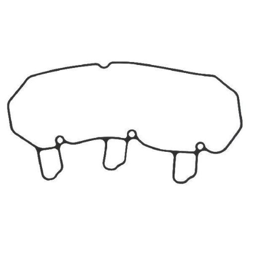 Immagine di 119718-11310A GUARN. PUNTERIE 3YM30