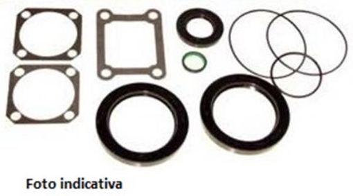 Immagine di 1059045 Kit guarnizioni-Gasket Kit