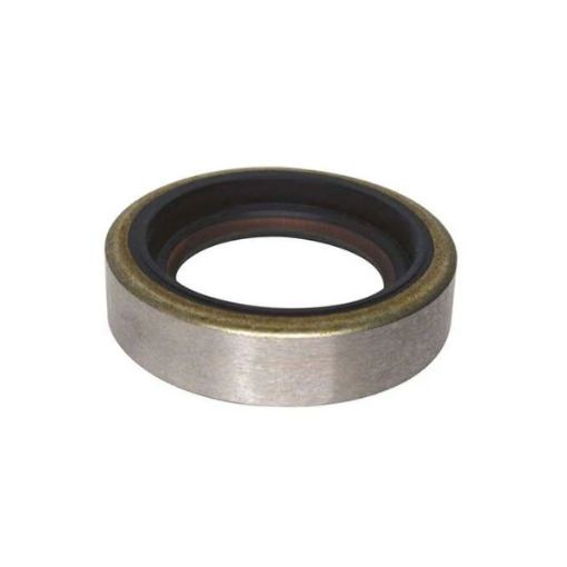 Immagine di 3852547 BRONZINA