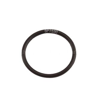 Immagine di 5P7530A SEAL O RIN