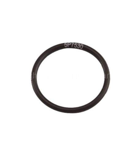 Immagine di 5P7530A SEAL O RIN