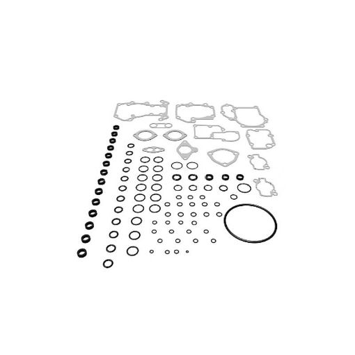 Immagine di 4211305A KIT GUARNIZIONI