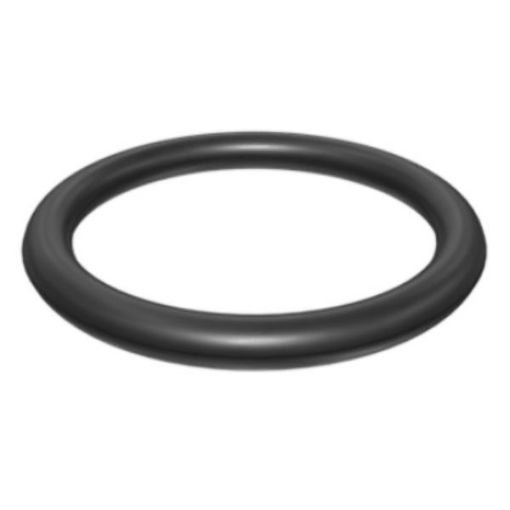 Immagine di 8M4446A Anello OR Silicone (70)  23,39x3,53